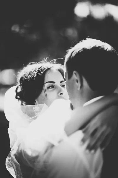 Los novios en el fondo del parque . — Foto de Stock