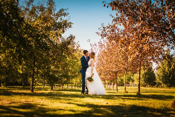 Belle mariée élégante et marié sur fond de jardin — Photo