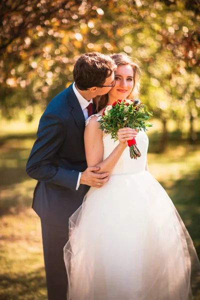 Menyasszony és a vőlegény a háttérben nyári erdőben — Stock Fotó