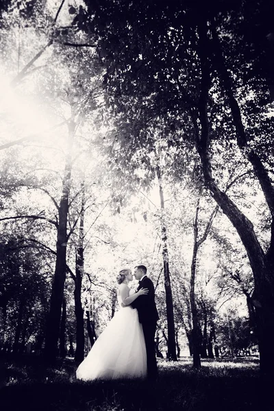 Ζευγάρι νύφη και το γαμπρό στο φόντο των δέντρων του πάρκου — Φωτογραφία Αρχείου