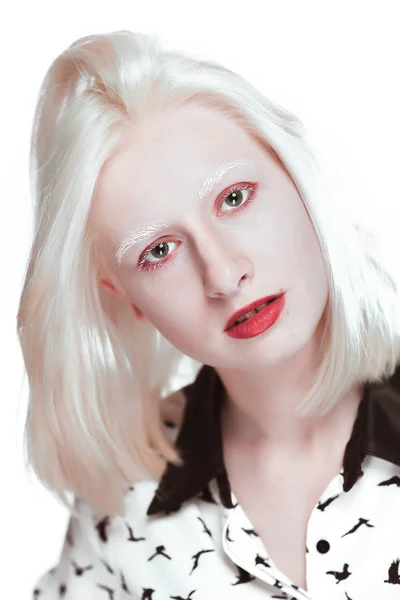 Szőke albínó lány stúdió-portré — Stock Fotó