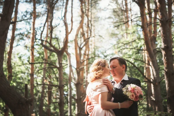 Novia y novio en el fondo de árboles y bosques en pleno crecimiento —  Fotos de Stock