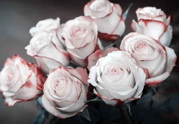 Bouquet de belles roses sur fond sombre . — Photo