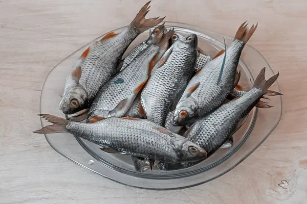 Frischer Fisch Der Fluss Gefangen Und Zur Weiteren Zubereitung Einem — Stockfoto