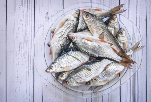 Pesce Fresco Pescato Nel Fiume Messo Sul Tavolo Contenitore Vetro — Foto Stock