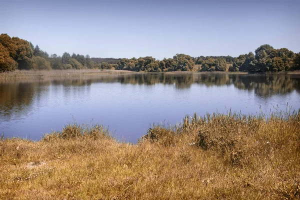 Gran lago hermoso, con bancos cubiertos de bosque . — Foto de Stock