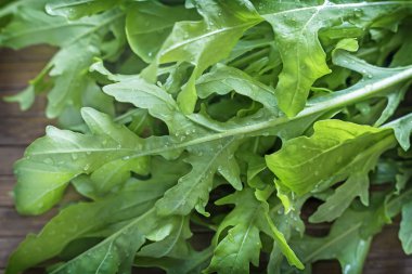 Taze yeşil roka yaprakları.