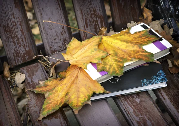 Kitap ve düşen yapraklar bir parkta bankta. — Stok fotoğraf