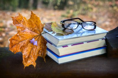 Park ahşap bir bankta işte bir kitap ve sarı düşmüş sonbahar akçaağaç yaprakları.