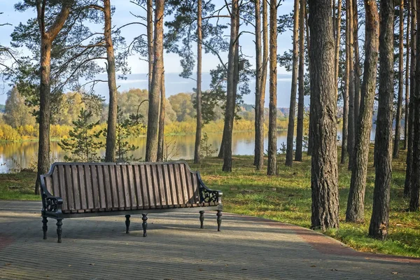 Herbstlandschaft Park Flussufer Zwischen Hohen Kiefern Steht Eine Holzbank Zum — Stockfoto
