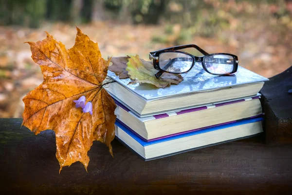 Park ahşap bir bankta işte bir kitap ve sarı düşmüş sonbahar akçaağaç yaprakları.