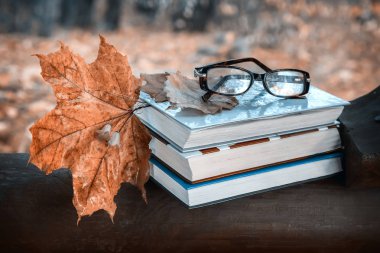 Park ahşap bir bankta işte bir kitap ve sarı düşmüş sonbahar akçaağaç yaprakları.