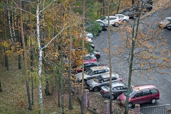 Araba Park Sonbahar Ağaçlar Ile Çit Yakınındaki Park Ettiniz Üstten — Stok fotoğraf