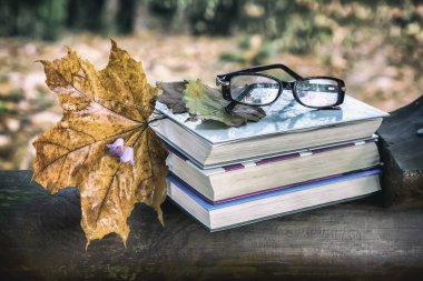 Park ahşap bir bankta işte bir kitap ve sarı düşmüş sonbahar akçaağaç yaprakları.