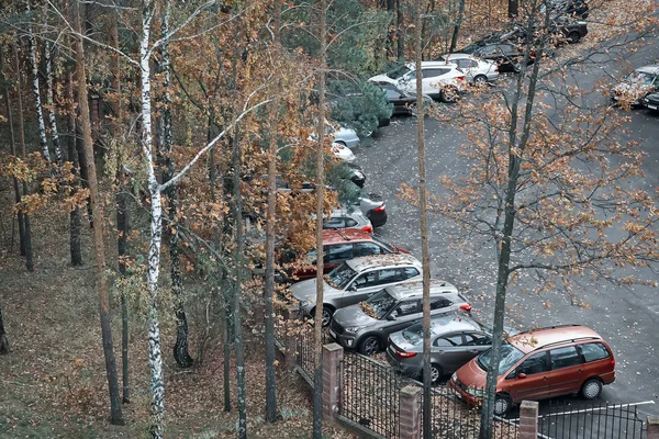 Araba Park Sonbahar Ağaçlar Ile Çit Yakınındaki Park Ettiniz Üstten — Stok fotoğraf