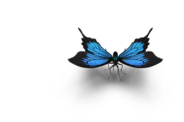 Sobre Fondo Blanco Hay Una Mariposa Azul Morpho Renderizado — Foto de Stock