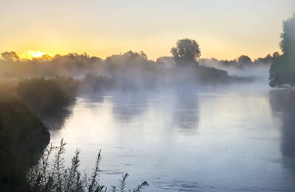 Bel Fiume Calmo Con Nebbia Sulla Superficie Dell Acqua All — Foto Stock