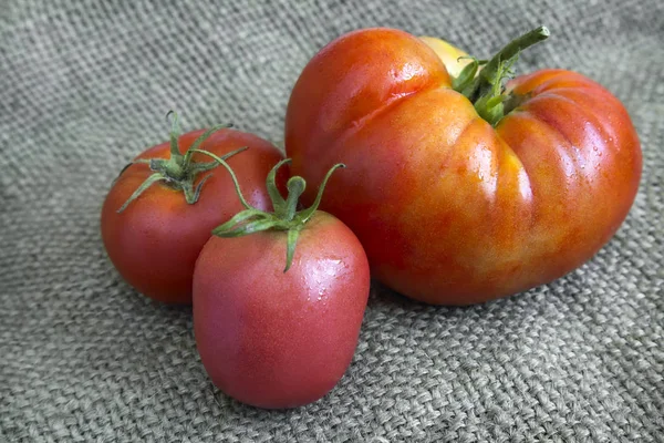 Keten kumaş masaya domates. — Stok fotoğraf