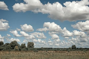 Açık güneşli bir yaz manzara.
