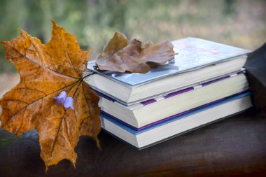 Natürmort: kitap ve sonbahar yaprakları parkta.