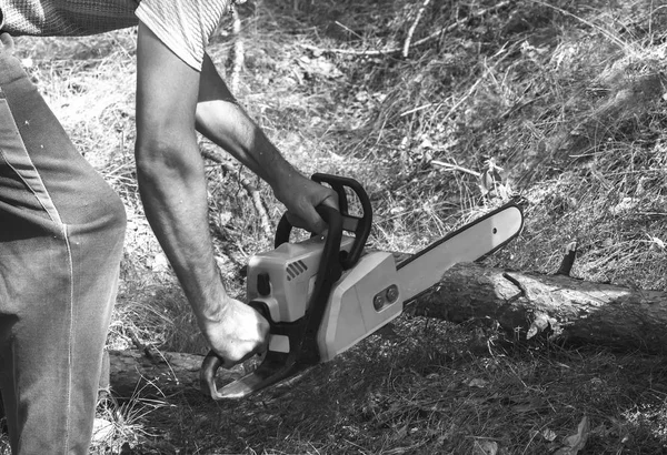 Wald Sägte Ein Mann Eine Baumstamm Kettensäge Schwarz Weiß Bild — Stockfoto