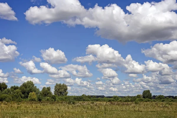 Sommerlandschaft Wiesen Überwachsen Mit Gras Sträuchern Und Bäumen Weithin Sichtbar — Stockfoto