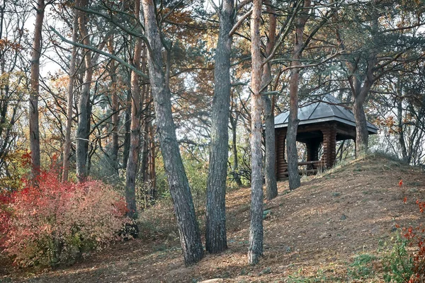 秋の風景 明るいピンクの大きな低木秋の森の Beresklet 望楼は 離れて — ストック写真