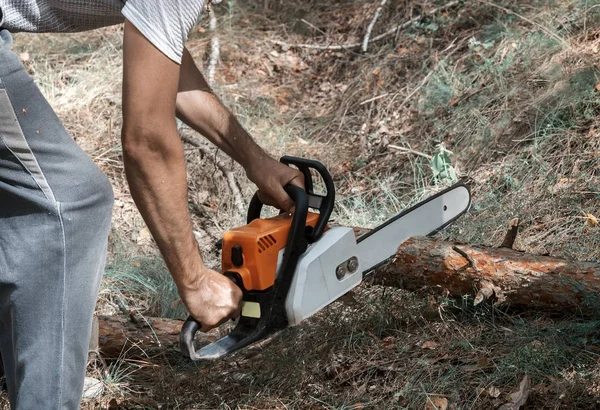 Dans Forêt Homme Sciant Tronc Arbre Avec Une Tronçonneuse — Photo