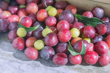 Tablo çok olgun kırmızı ve Sarı Erik ahşap yüzeyde. Yakın çekim sunulan.