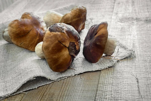 Boleto de cogumelos na mesa em um guardanapo . — Fotografia de Stock