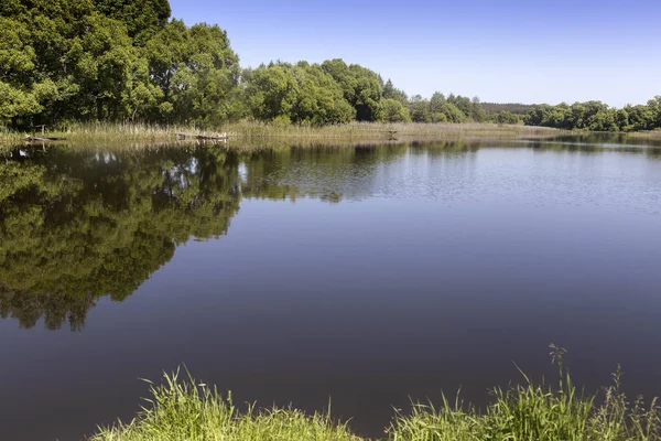 Stor Sjö Bankerna Skogsmark Tydlig Molnfri Vårdag — Stockfoto