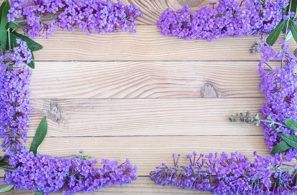 Beautiful inflorescence decorative shrub buddleja Davidii, consisting of many small lilac flowers on a light wooden background. Arranged in a frame.