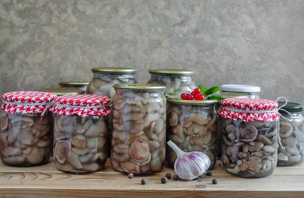 Conservação Casa Produtos Jarros Vidro Com Cogumelos Conservados Escabeche Com — Fotografia de Stock