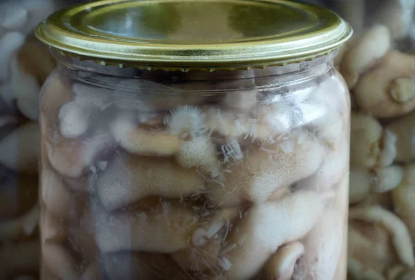 Accueil Préservation Des Produits Bocaux Verre Aux Champignons Marinés Avec — Photo