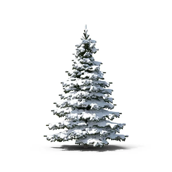 Schöner Weihnachtsbaum Mit Schnee Auf Zweigen Auf Weißem Hintergrund Rendering — Stockfoto