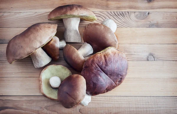 Boletus di funghi fresco su un tavolo di legno — Foto Stock