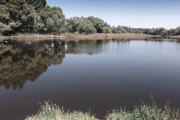 Großer schöner See, mit Wäldern bewachsenen Ufern. — Stockfoto