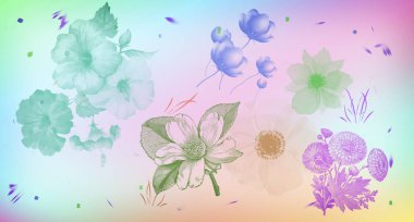 Klasik tarzda çiçek seti, pastel renkler, açık arkaplan. Kompozisyonlarınız için çiçek elementleri..