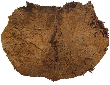 Kesilmiş ağaç gövdesi. Beyaz bir arka planda sunulmuş. Yukarıdan görünüşü.