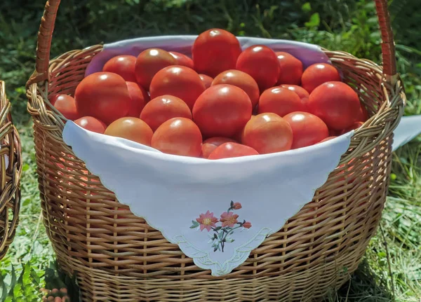 Rijpe Verse Tomaten Een Rieten Mand Worden Verkocht Beurs — Stockfoto