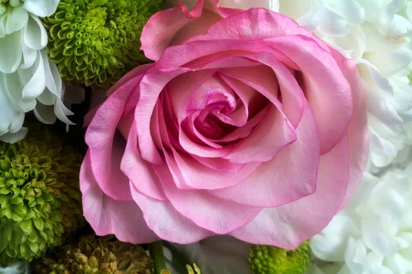 Belle fleur de rose dans un bouquet gros plan . — Photo