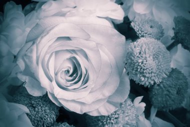 Buket yakın çekim güzel gül çiçek.