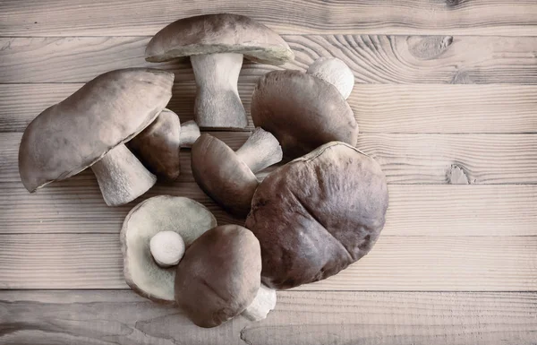 Boletus di funghi fresco su un tavolo di legno — Foto Stock