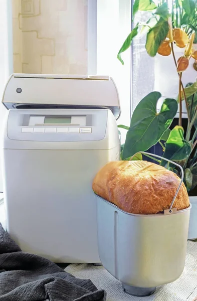 Electric oven for baking bread at home — Stock Photo, Image