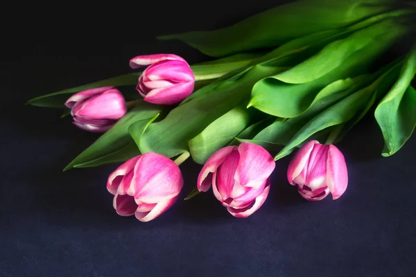 Bouquet de tulipes roses sur fond sombre . — Photo