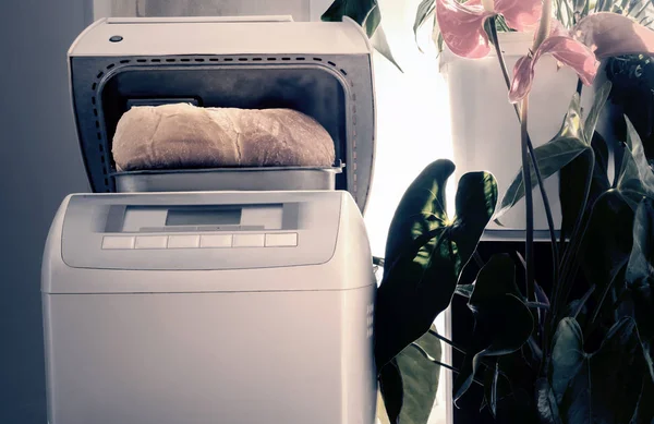 Pemanggang listrik untuk memanggang roti di rumah — Stok Foto