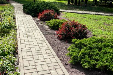 Güzel süs çalıları ile Parkta Yol