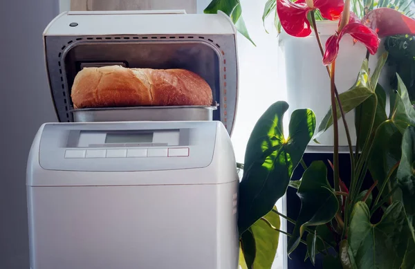 Forno elétrico para assar pão em casa — Fotografia de Stock