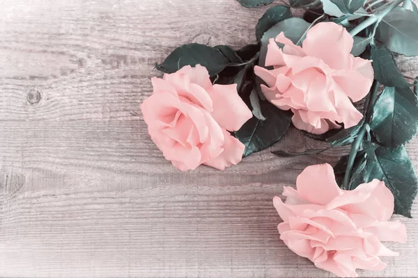Роскошные розовые розы на светлом фоне дерева — стоковое фото