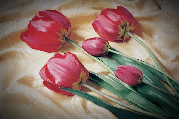 Ярко-красный тюльпан на фоне желтого шелка — стоковое фото